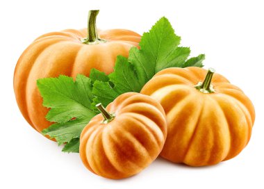 Kabak sebzesi ve yeşil yapraklar beyaz arkaplanda izole edilmiş.