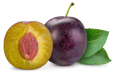 Erik ve yapraklar, beyaz arkaplanda izole edilmiş.