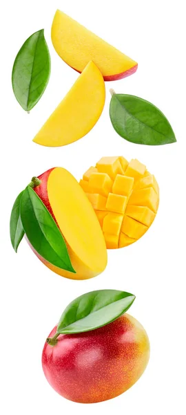 Mango y hojas, aislados sobre fondo blanco —  Fotos de Stock