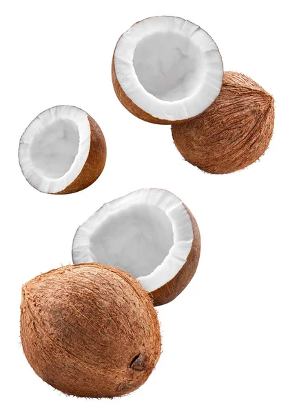 Latający Kokos Pół Izolowany Białym Tle Zdjęcie Studia Makro Kokosowego — Zdjęcie stockowe