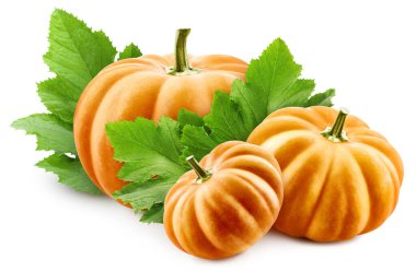 Balkabağı ve yapraklar, beyaz arka planda izole edilmiş. Tam alan derinliği. Kesme yolu olan bir balkabağı