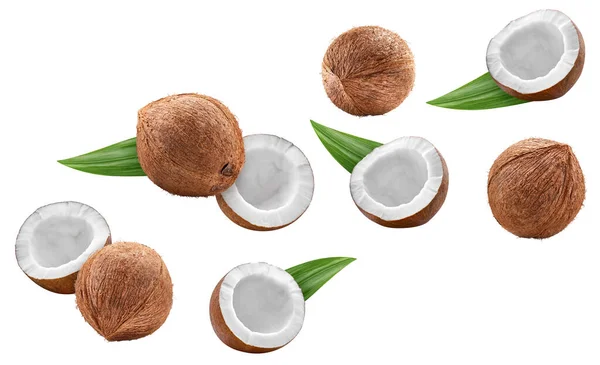 Coconute Volante Con Foglie Verdi Isolate Fondo Bianco Raccolta Cocco — Foto Stock