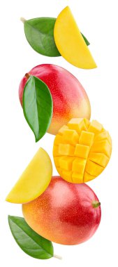 Yapraklarla uçan mango. Beyaz arka planda izole edilmiş organik mango. Yapraklı mango tadı. kırpma yolu ile