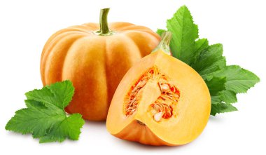 Ripe pumpkin with leaves. Organic pumpkin isolated on white background. Taste pumpkin with leaf. With clipping path clipart