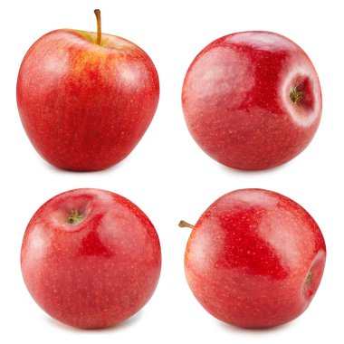 elma beyaz arkaplanda izole edildi