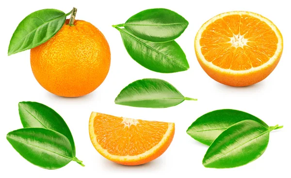 Orangenkollektion Orange Isoliert Auf Weißem Hintergrund Orange Set Makro Mit — Stockfoto