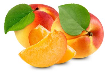 Kayısı beyaz arkaplanda izole edildi