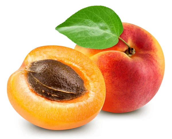 Apricot Fruit Leaf Isolate Apricot Half White Apricot Clipping Path — Stock Photo, Image