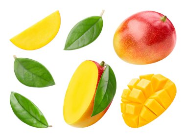 Mango beyaz arkaplanda izole edildi