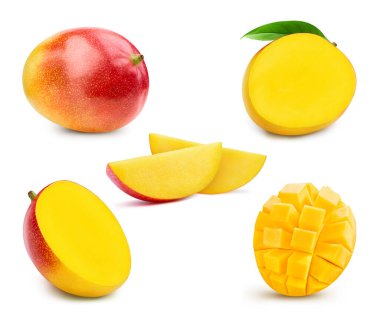 Mango kırpma yolunu ayarladı. Mango koleksiyonu beyaza izole edildi. Tam alan derinliği