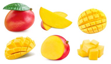 Mango collection. Mango set isolated on white background. Mango macro. With clipping path