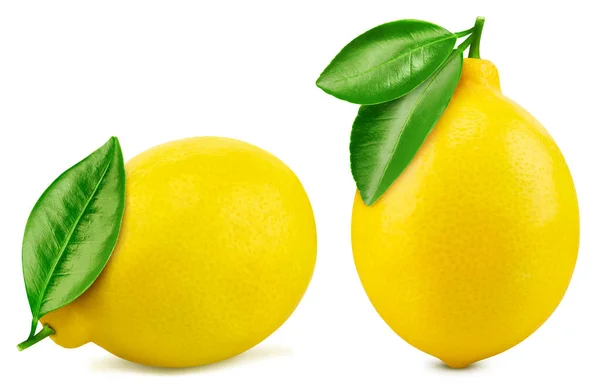 Lemon Isolated White Background Lemon Collection Clipping Path —  Fotos de Stock