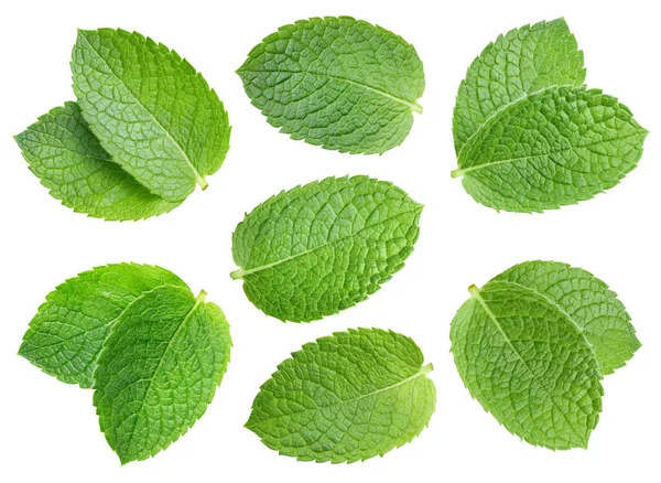 Grön Myntsamling Ställ Organiska Mynta Blad Isolerad Vit Bakgrund Mint — Stockfoto