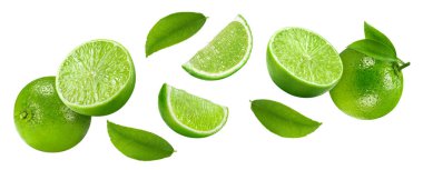 Hava limonu koleksiyonunda uçmak. Beyaz zemine organik kireç ve yapraklar koyun. Kırpma yolu olan kireç