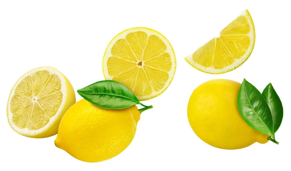 Terbang Dalam Koleksi Lemon Udara Mengatur Lemon Organik Dan Daun — Stok Foto