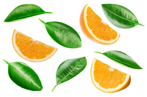 Sbírka Oranžová Izolované Bílém Pozadí Ochutnejte Pomeranč Listem Plná Hloubka — Stock fotografie