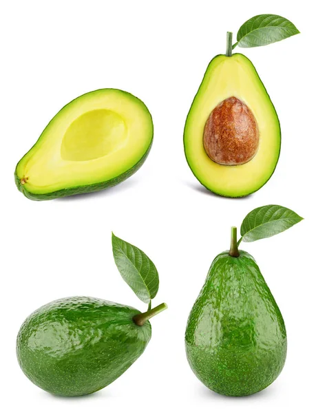 Avocadofrüchte Sammeln Avocado Isoliert Auf Weißem Hintergrund Professionelles Studio Makro — Stockfoto