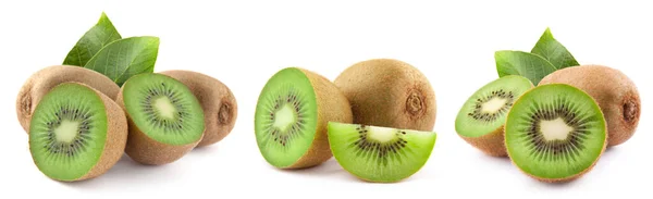 Coleção Kiwi Isolado Fundo Branco Prove Kiwi Com Folha Frutos — Fotografia de Stock