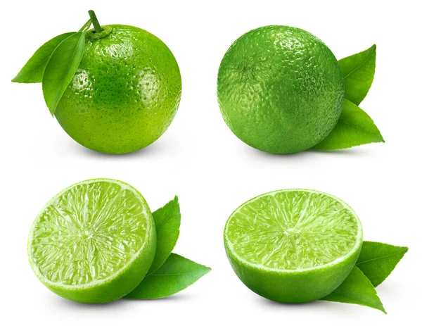 Collection Lime Isolerad Vit Bakgrund Smaka Lime Med Löv Fullt — Stockfoto