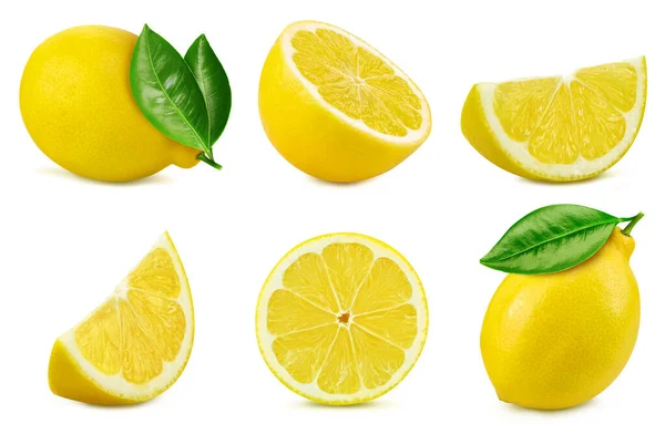 Collection Lemon Isolated White Background Taste Lemon Leaf Full Depth — стоковое фото