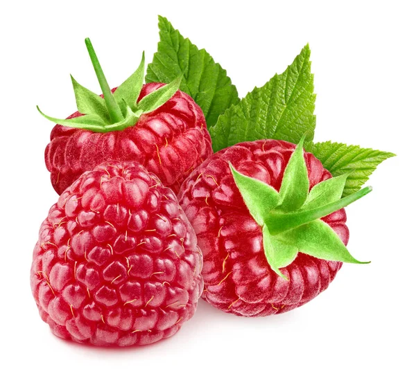 Raspberry Leaves Isolated White Background Raspberry Clipping Path Raspberry Macro — Stock Photo, Image