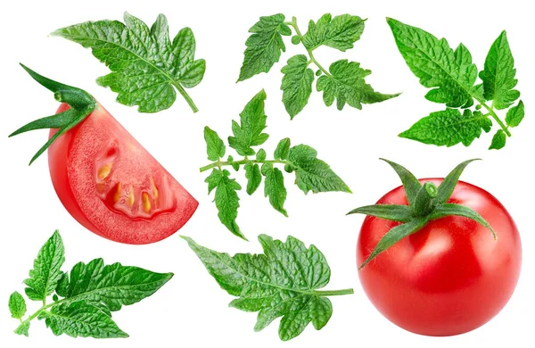 Tomato Clipping Path Tomato Vegetable Half Slice Isolated White Background — Stok fotoğraf