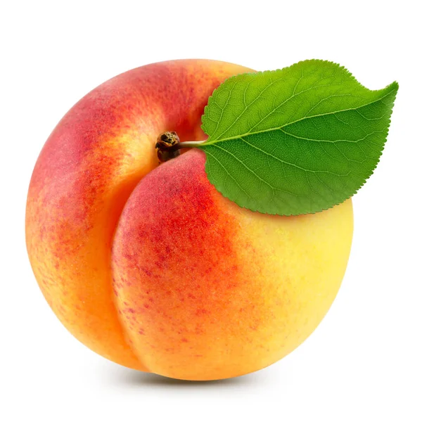 Apricot Isolated White Background Apricot Clipping Path Apricot Macro Studio — Foto Stock