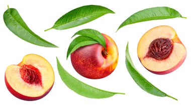 Peach collection with leaves isolated on white background. Peach set Clipping Path. Peach macro studio photo