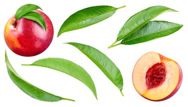 Peach collection with leaves isolated on white background. Peach set Clipping Path. Peach macro studio photo