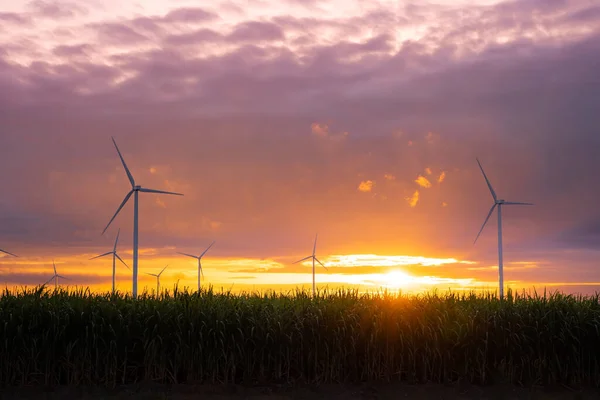 Wind turbines of global ecology with cloud background on the sky. alternative electricity source to be sustainable resources in the future. Clean energy concept saves the world.