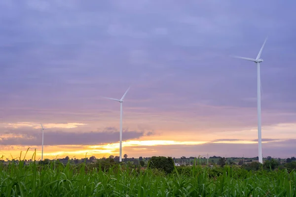 Wind turbines of global ecology with cloud background on the sky. alternative electricity source to be sustainable resources in the future. Clean energy concept saves the world.