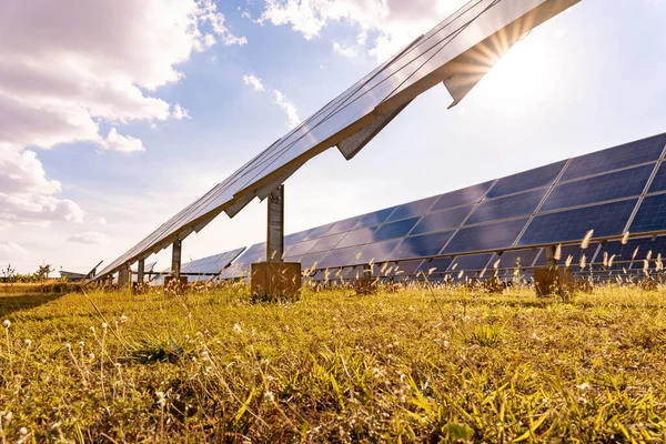 Planta Solar Célula Solar Com Temporada Verão Clima Quente Provoca — Fotografia de Stock