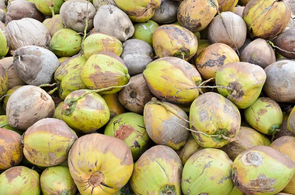 Stapel van de kokosnoot met groene — Stockfoto