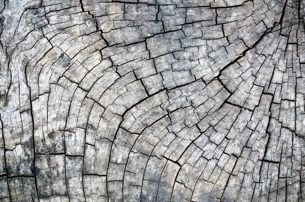 黒と白の古い木材のテクスチャ — ストック写真