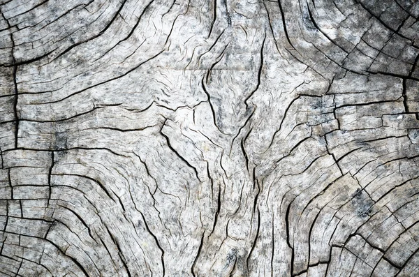 Struttura in legno vecchio bianco e nero — Foto Stock