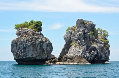 küçük ada dalış deniz