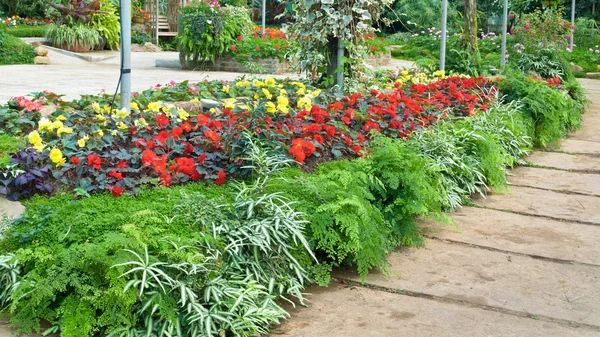 Multicolored flower garden — Stock Photo, Image