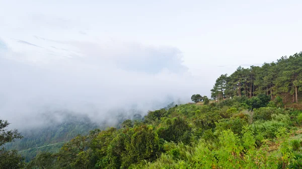 Punktu widzenia doi ang khang gór w prowincji chiang mai thai — Zdjęcie stockowe