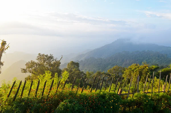 Точки зору doi анг khang гори на провінція chiang mai тайський — стокове фото