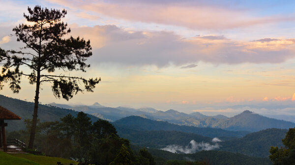 Пик для ошеломляющего вида на горы облака и туман
