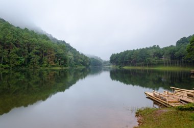 doğa manzara göller ve çam ormanları şafak