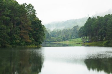 sabah göl ve çam ormanları, doğal peyzaj