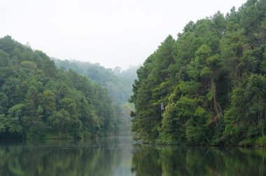 sabah göl ve çam ormanları, doğal peyzaj