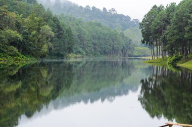 sabah göl ve çam ormanları, doğal peyzaj