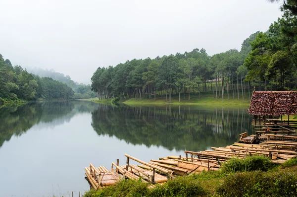 Raft bamboo lake and pine forest at morning — Stock Photo, Image