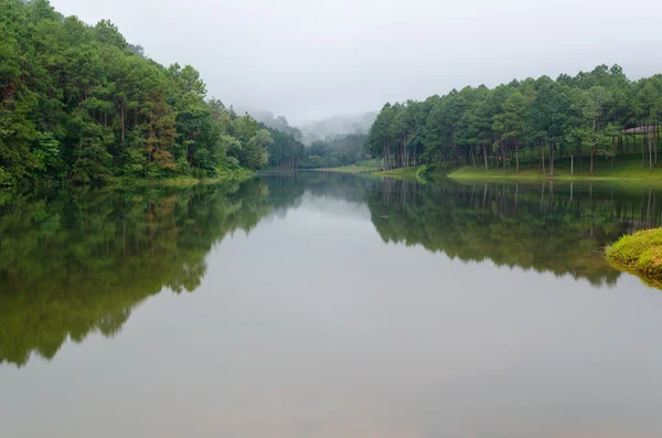 Doğa manzara göller ve çam ormanları şafak — Stok fotoğraf