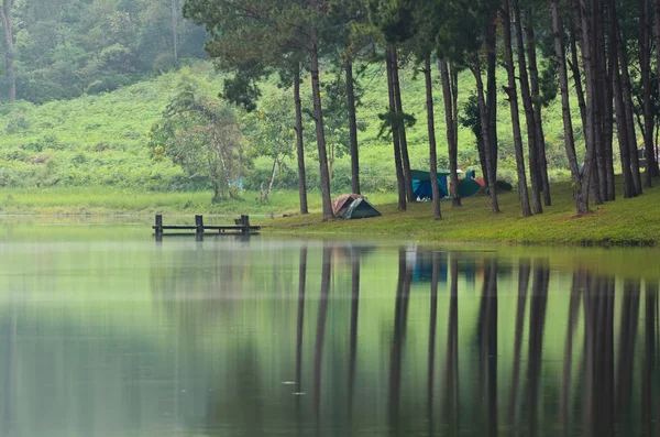 Morning atmosphere campsite on a lake in the pine forest — Stock Photo, Image