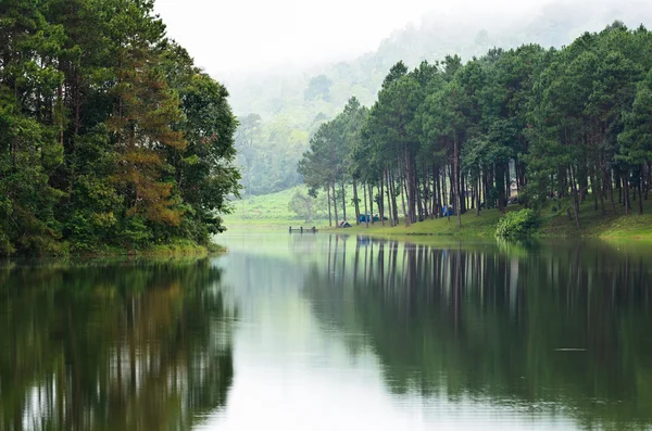 Zeltplatz mit Morgenstimmung an einem See im Kiefernwald — Stockfoto