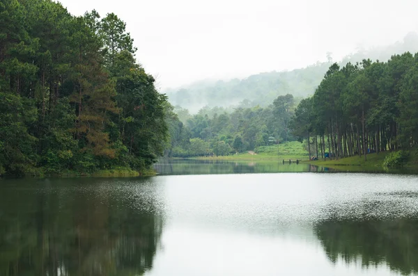 Nature landscape at morning of lakes and pine forests — Stock Photo, Image