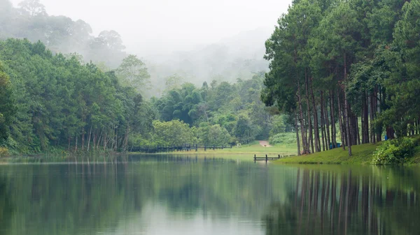 Paysage naturel le matin des lacs et des forêts de pins — Photo